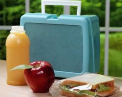 O que colocar na lancheira do meu filho?
