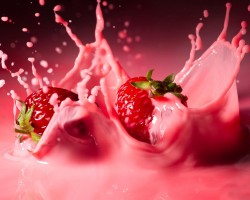 Shake modulador do sistema imunológico