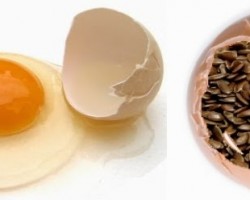 Linhaça para substituir ovos em receitas