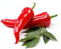 Alimentos termogênicos