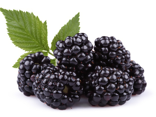 Suco de folhas de cavalinha com amoras