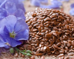 Como consumir a linhaça