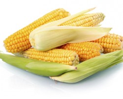 Benefícios do milho