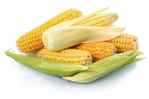Benefícios do milho