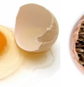 Linhaça para substituir ovos em receitas