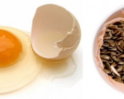 Linhaça para substituir ovos em receitas