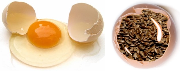 Linhaça para substituir ovos em receitas