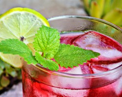 Suchá de hibisco, melancia e limão