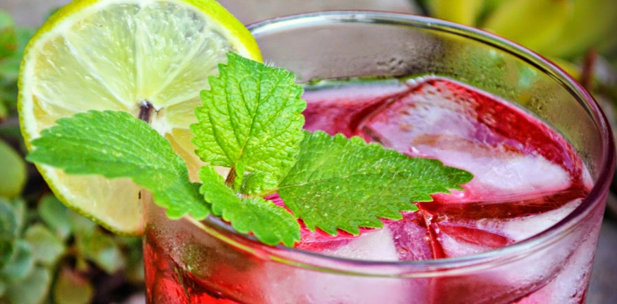 Suchá de hibisco, melancia e limão