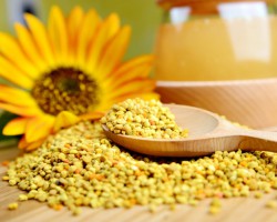 Benefícios do consumo de pólen apícola