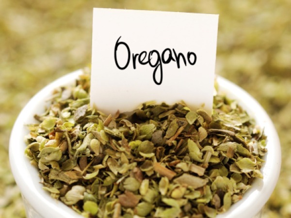 Orégano