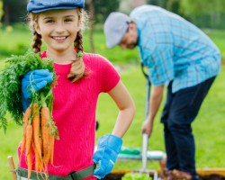 Alimentação nos dias atuais
