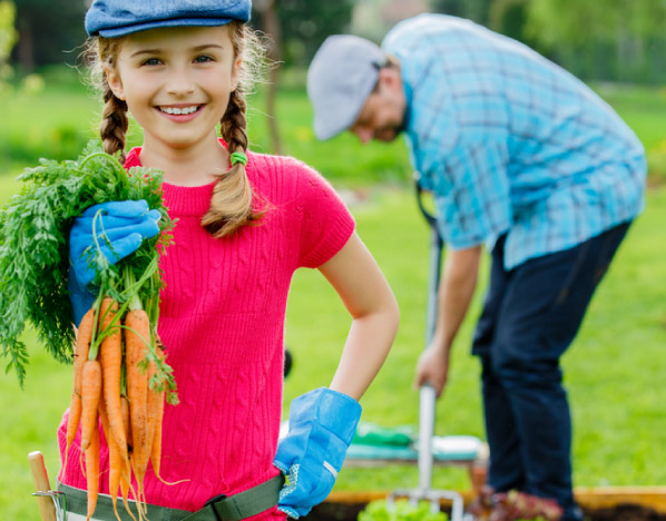 Alimentação nos dias atuais