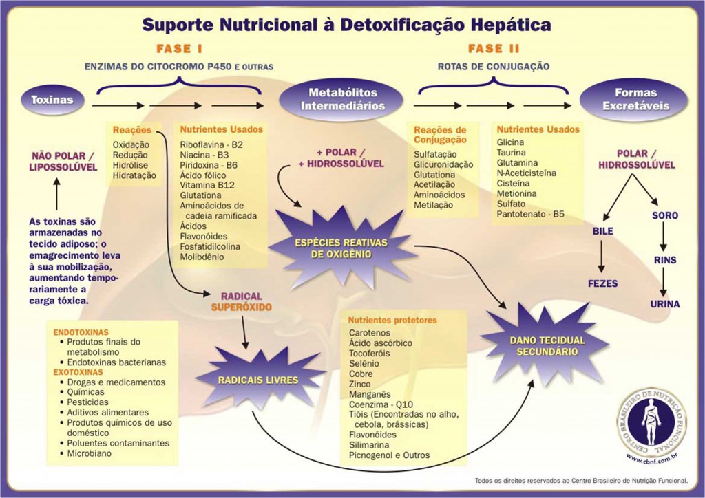 suporte_nutricional_detoxificacao