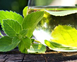 Água aromatizada com hortelã e gengibre