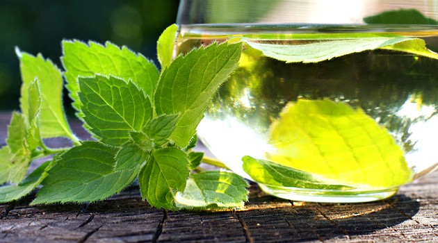 Água aromatizada com hortelã e gengibre