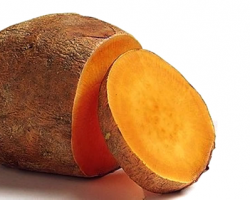 Batata Yacon