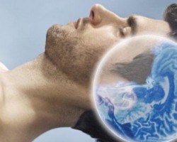 Toxinas Ambientais – Metais pesados