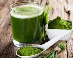 Você conhece a Spirulina?