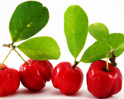 O poder da acerola