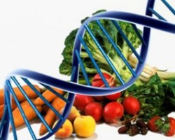 O que é Nutrição Funcional?