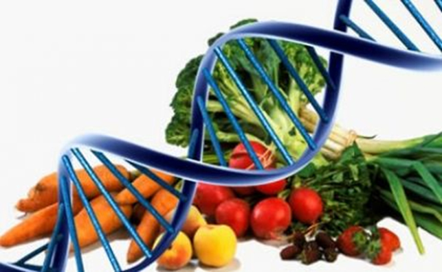 O que é Nutrição Funcional?