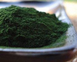 Você conhece a Chlorella?