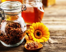 Propriedades da própolis