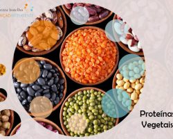 Proteínas Vegetais