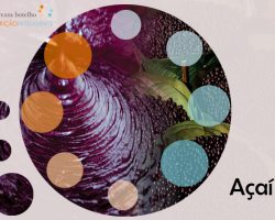 Açaí