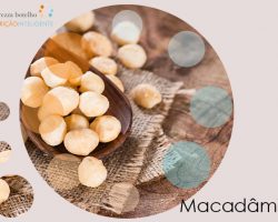 Macadâmia
