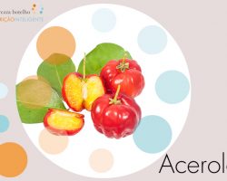 Acerola