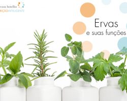 Ervas e suas Funções