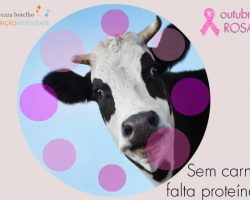 Sem carne, falta proteína?