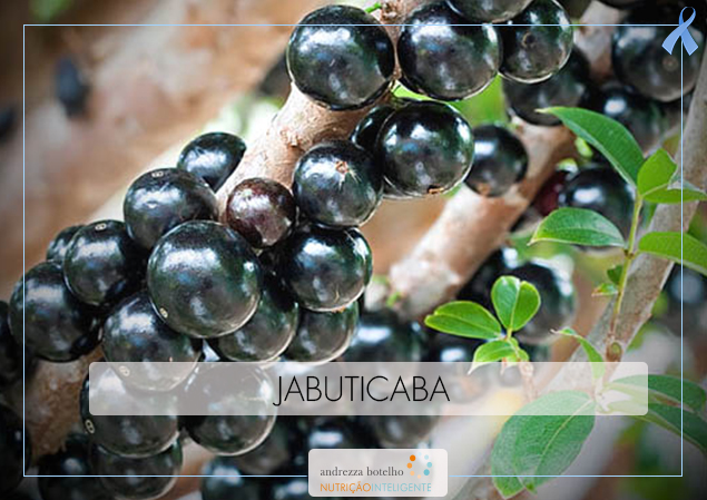 Jabuticaba