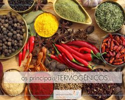 Principais termogênicos