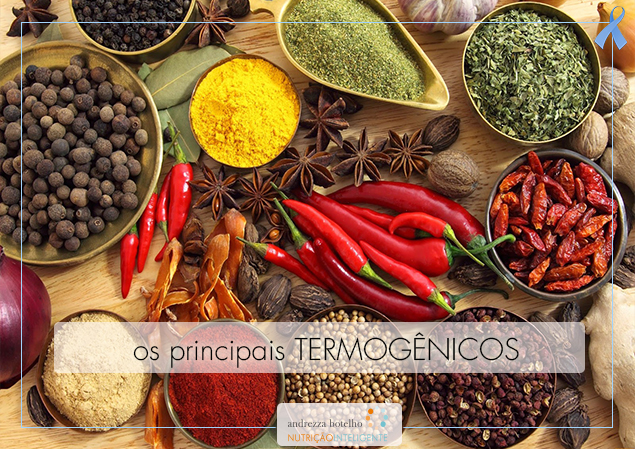 Principais termogênicos