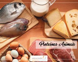 Proteínas Animais