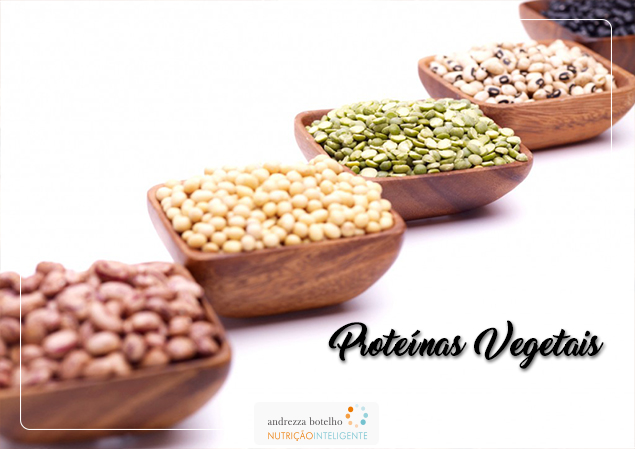 Proteínas Vegetais