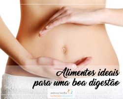 Alimentos ideais para uma boa digestão