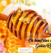 Benefícios da Geléia Real