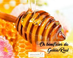 Benefícios da Geléia Real