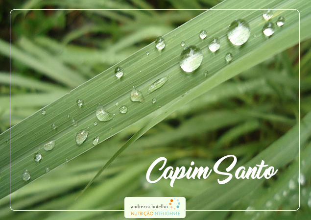 Capim Santo
