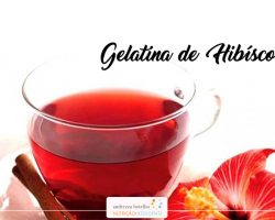 Gelatina de Hibisco