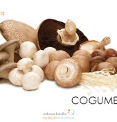 COGUMELOS