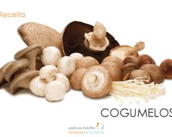 COGUMELOS