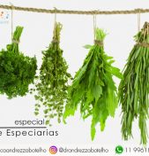 Ervas e Especiarias