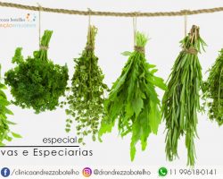 Ervas e Especiarias