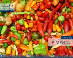 Pimenta