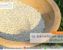 Benefícios da Quinua